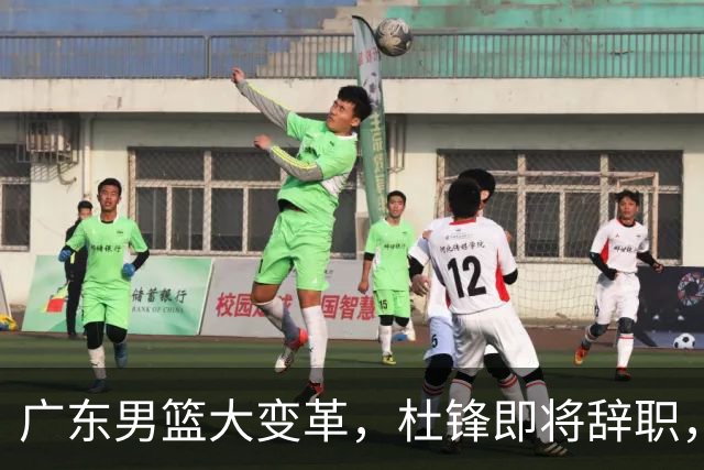 广东男篮大变革，杜锋即将辞职，六大问题显现，球迷欣喜“天亮了”！
