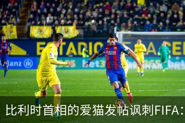 比利时首相的爱猫发帖讽刺FIFA：“红牌？”我照样继续踢！